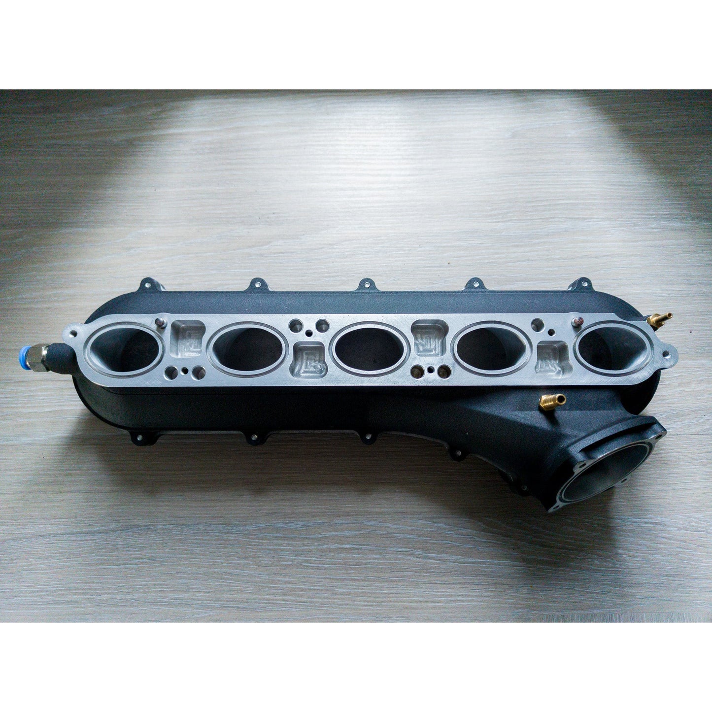 Anembo Cast Plenum