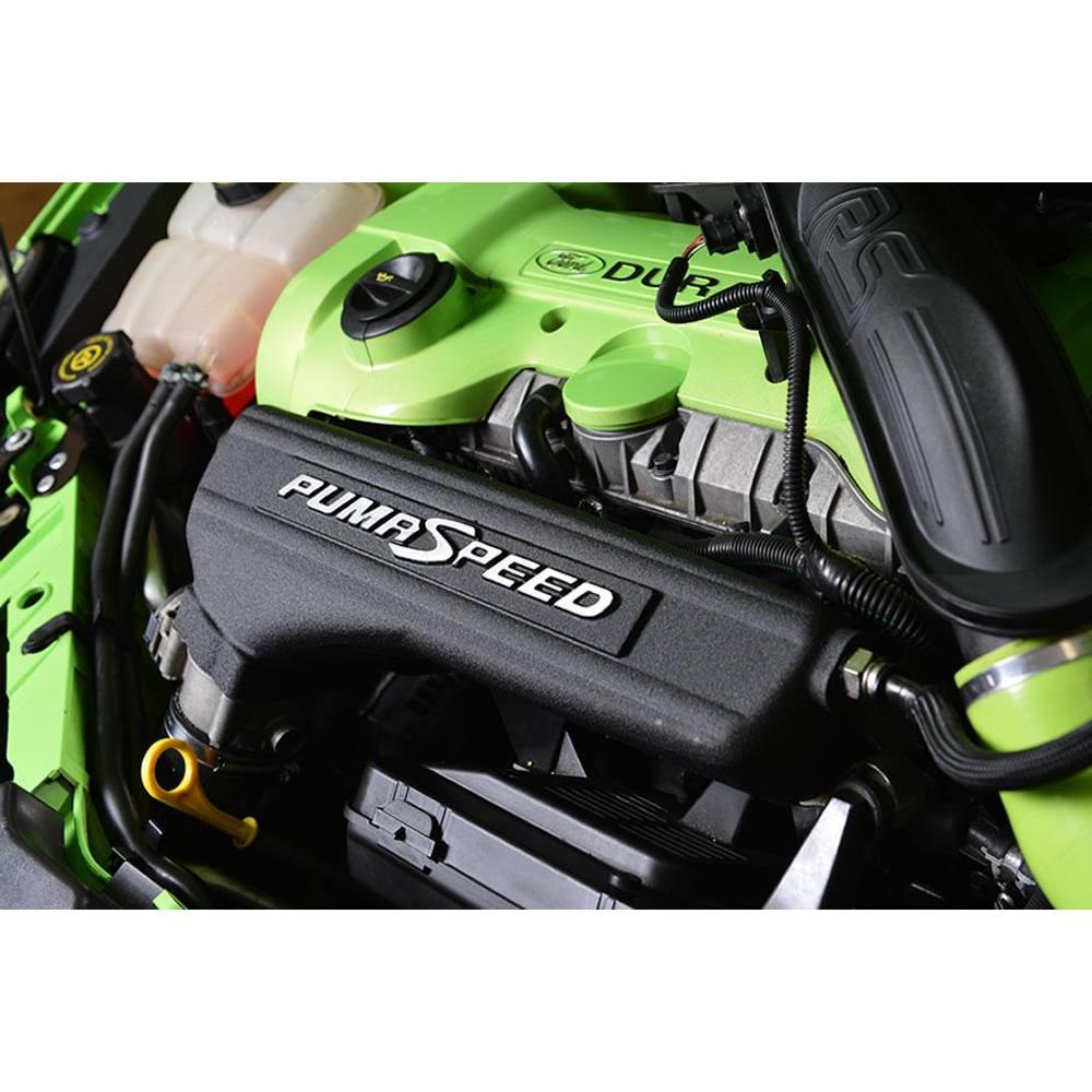 Pumaspeed Plenum - ÄLG Performance