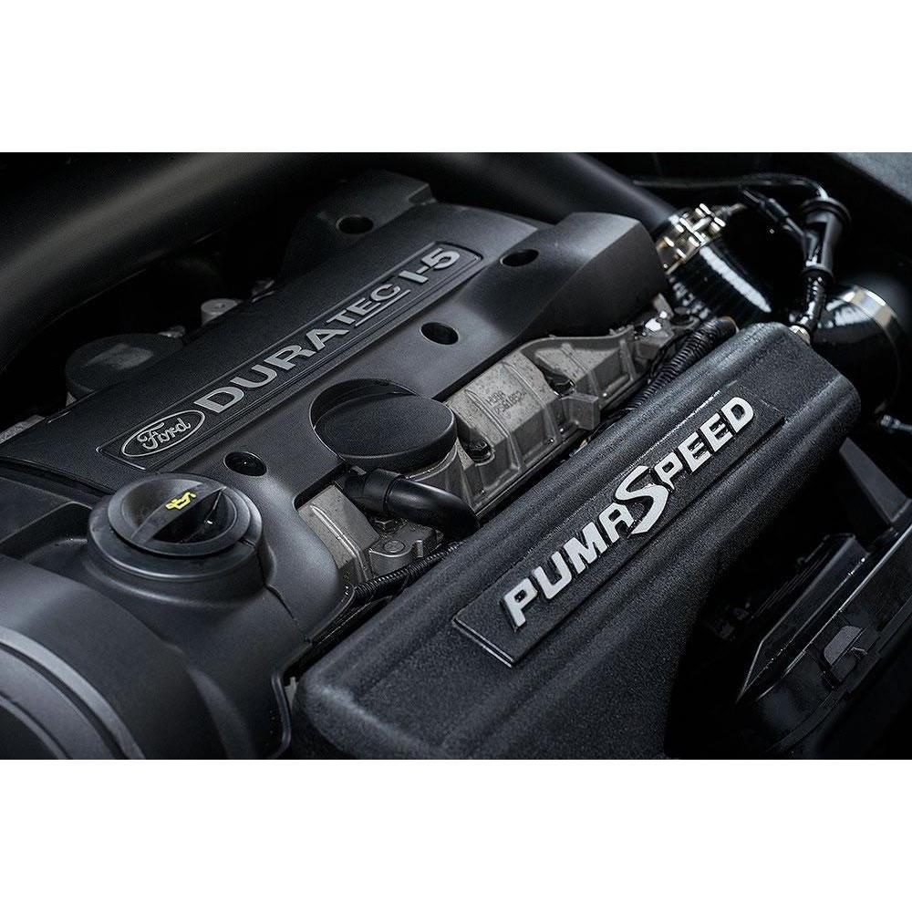 Pumaspeed Plenum - ÄLG Performance