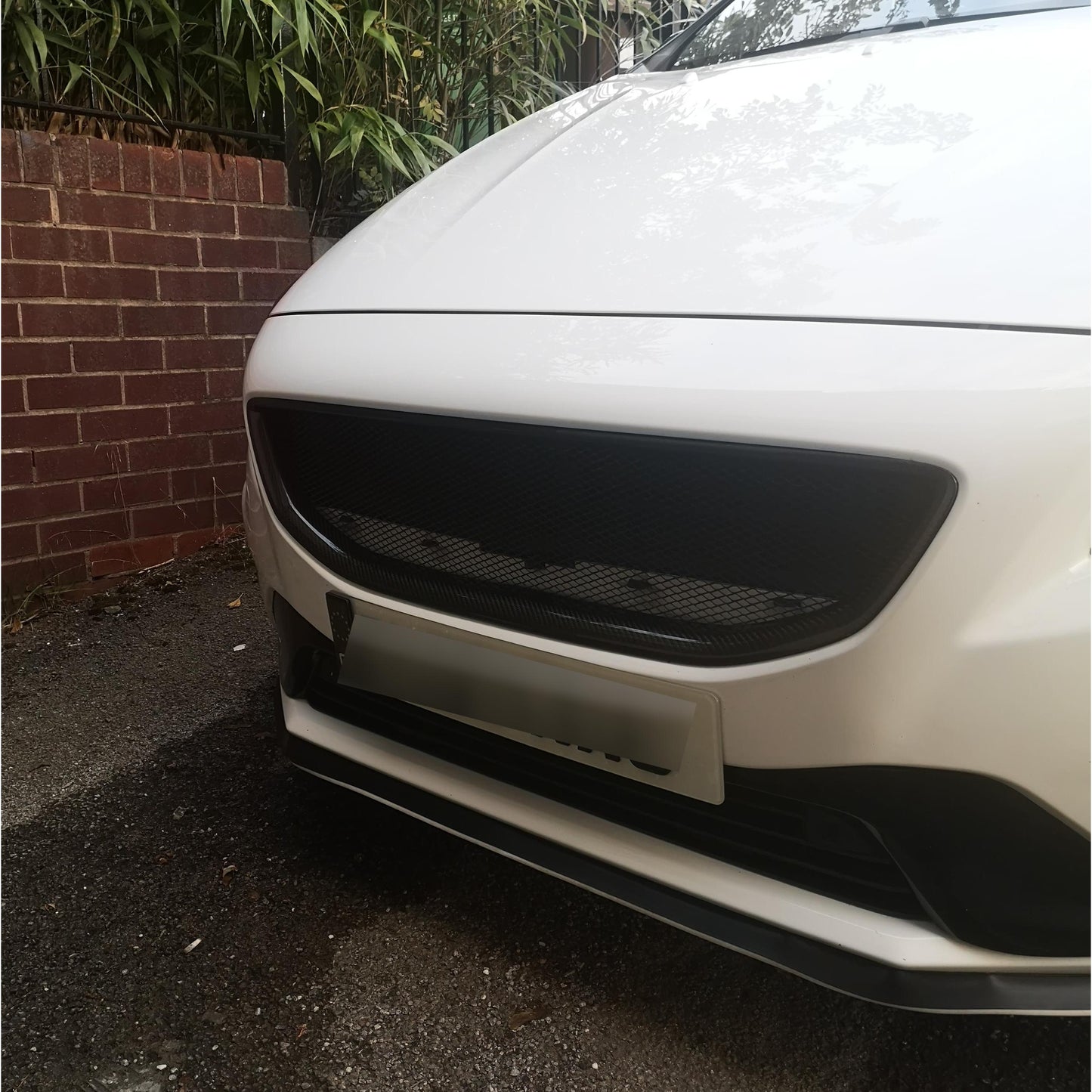 V40 Carbon Grille - ÄLG Performance