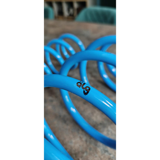 ÄLG P1 Volvo Lowering Springs